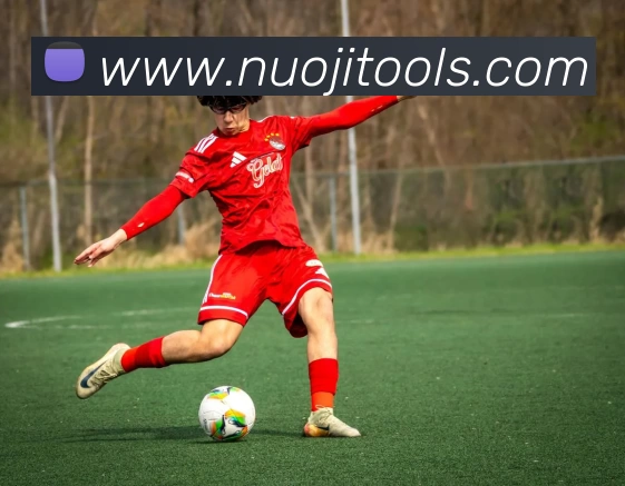 九游官网平台生态图